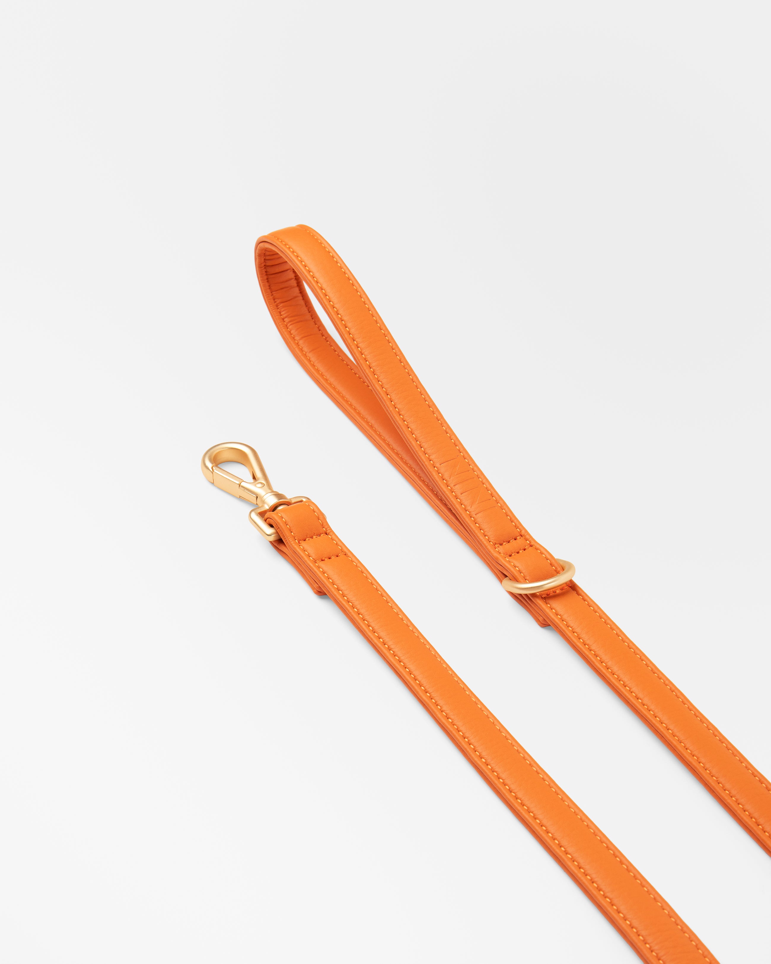 Laisse Classique Orange