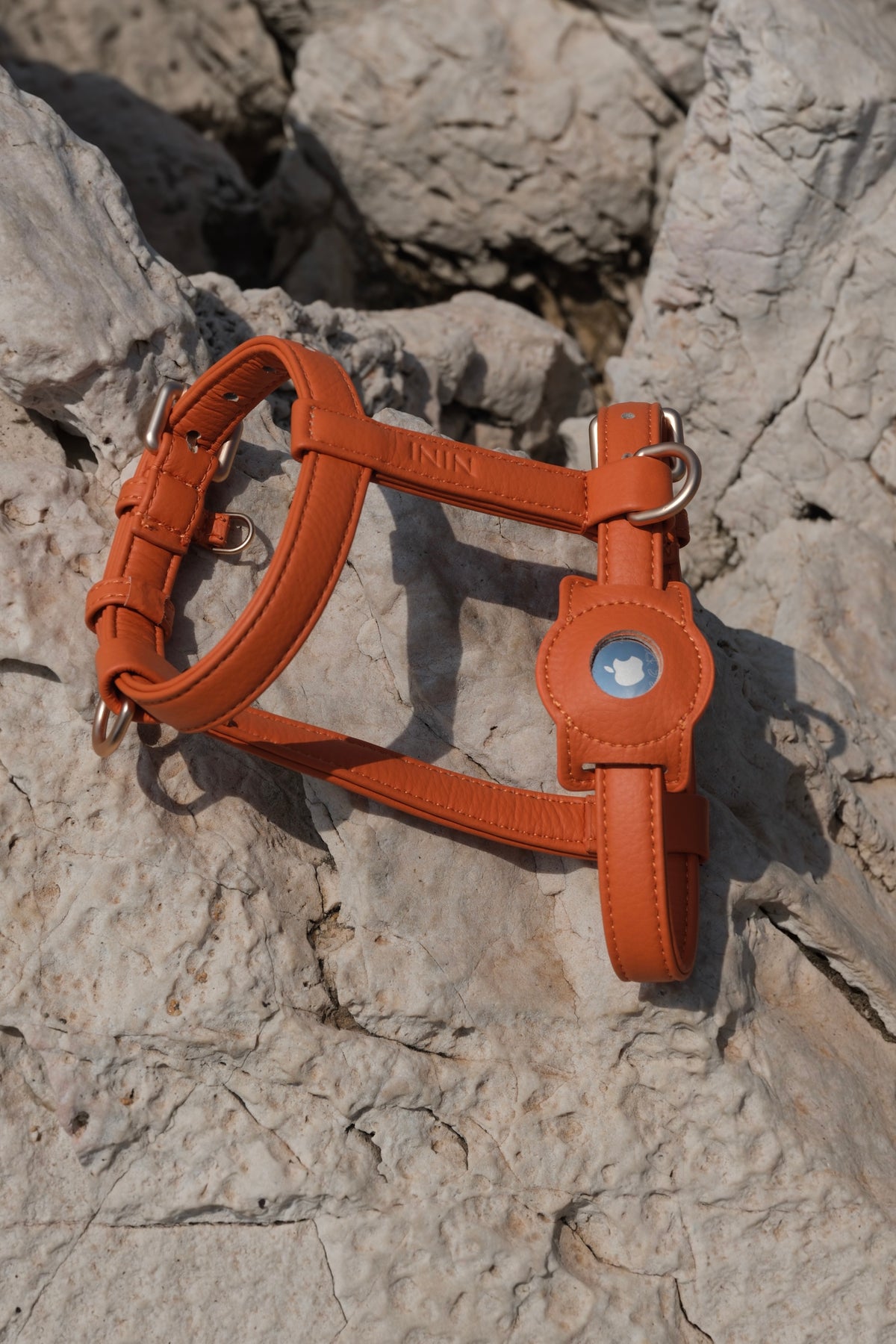 Porte-AirTag pour chien - Orange