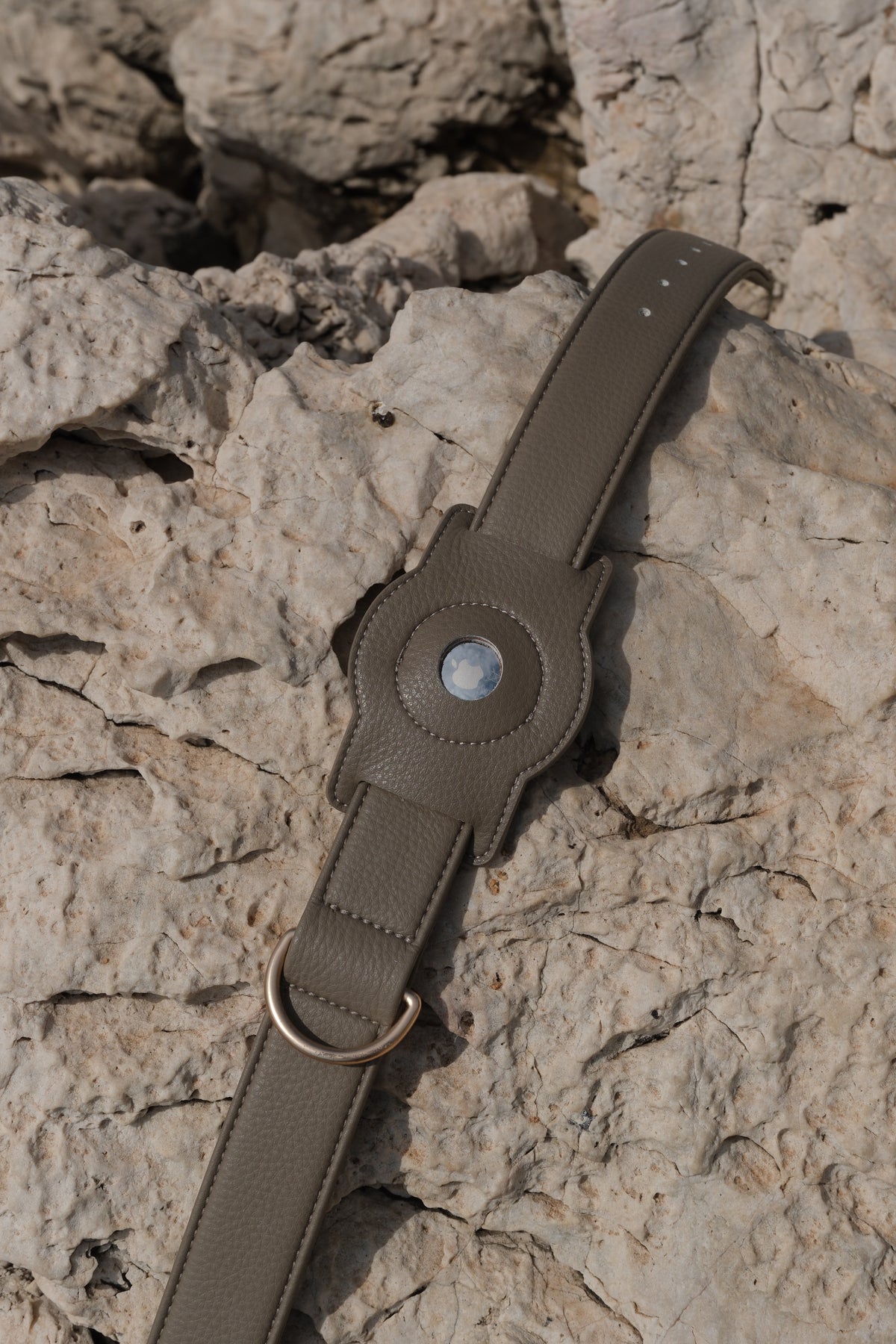 Porte-AirTag pour chien - Taupe