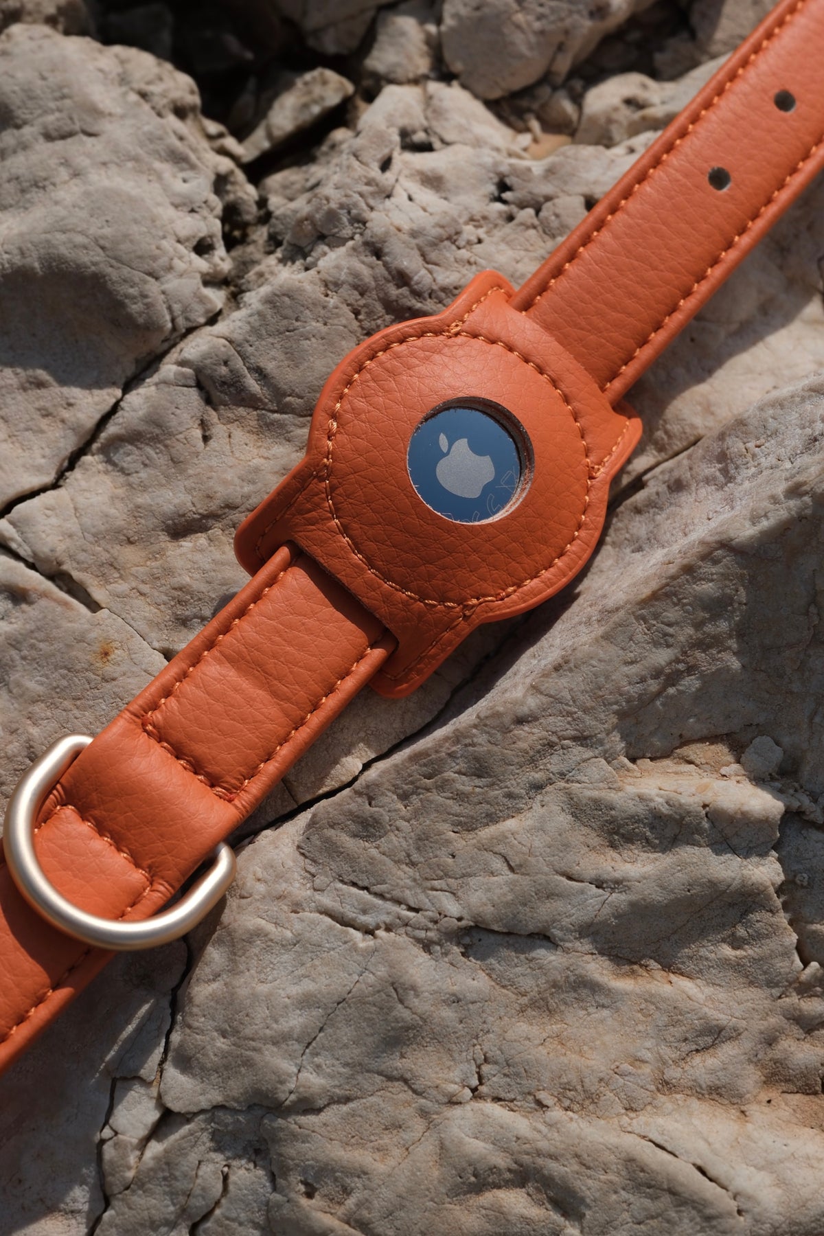 Porte-AirTag pour chien - Orange