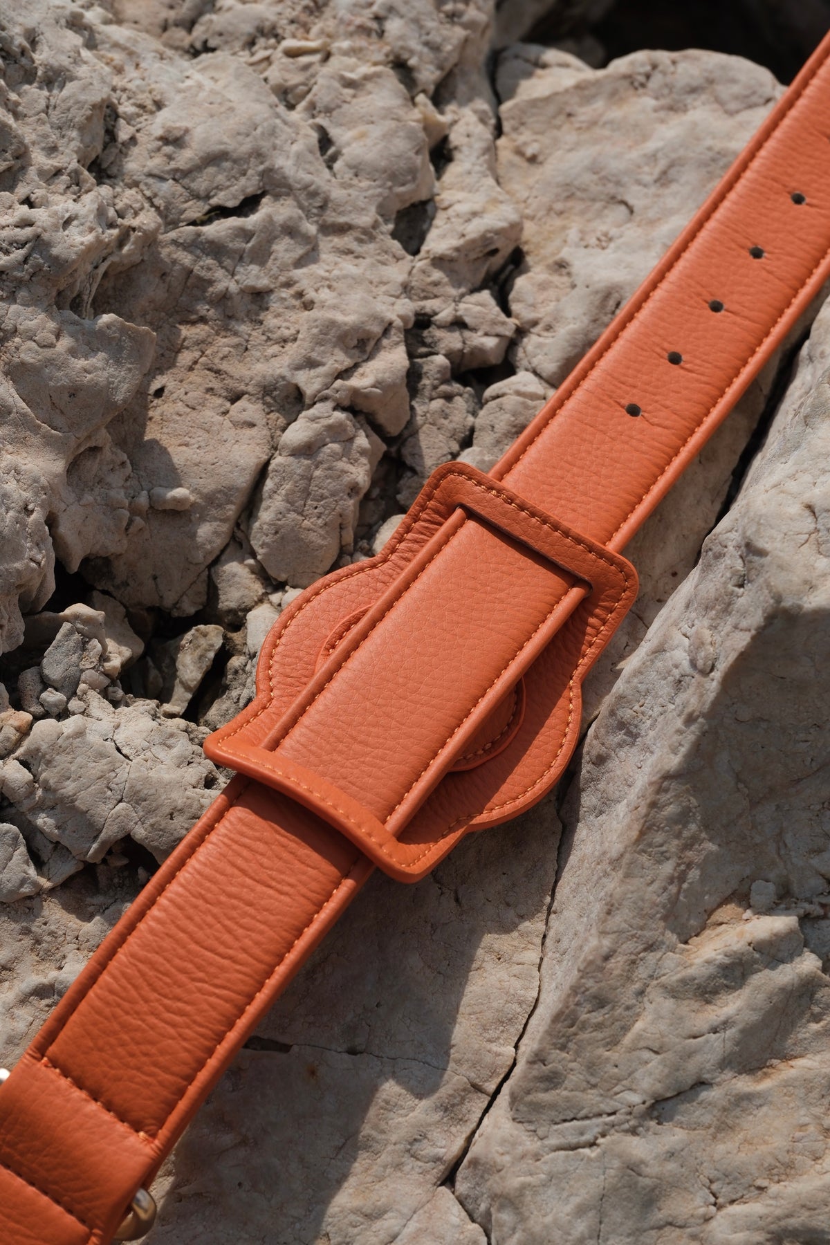Porte-AirTag pour chien - Orange