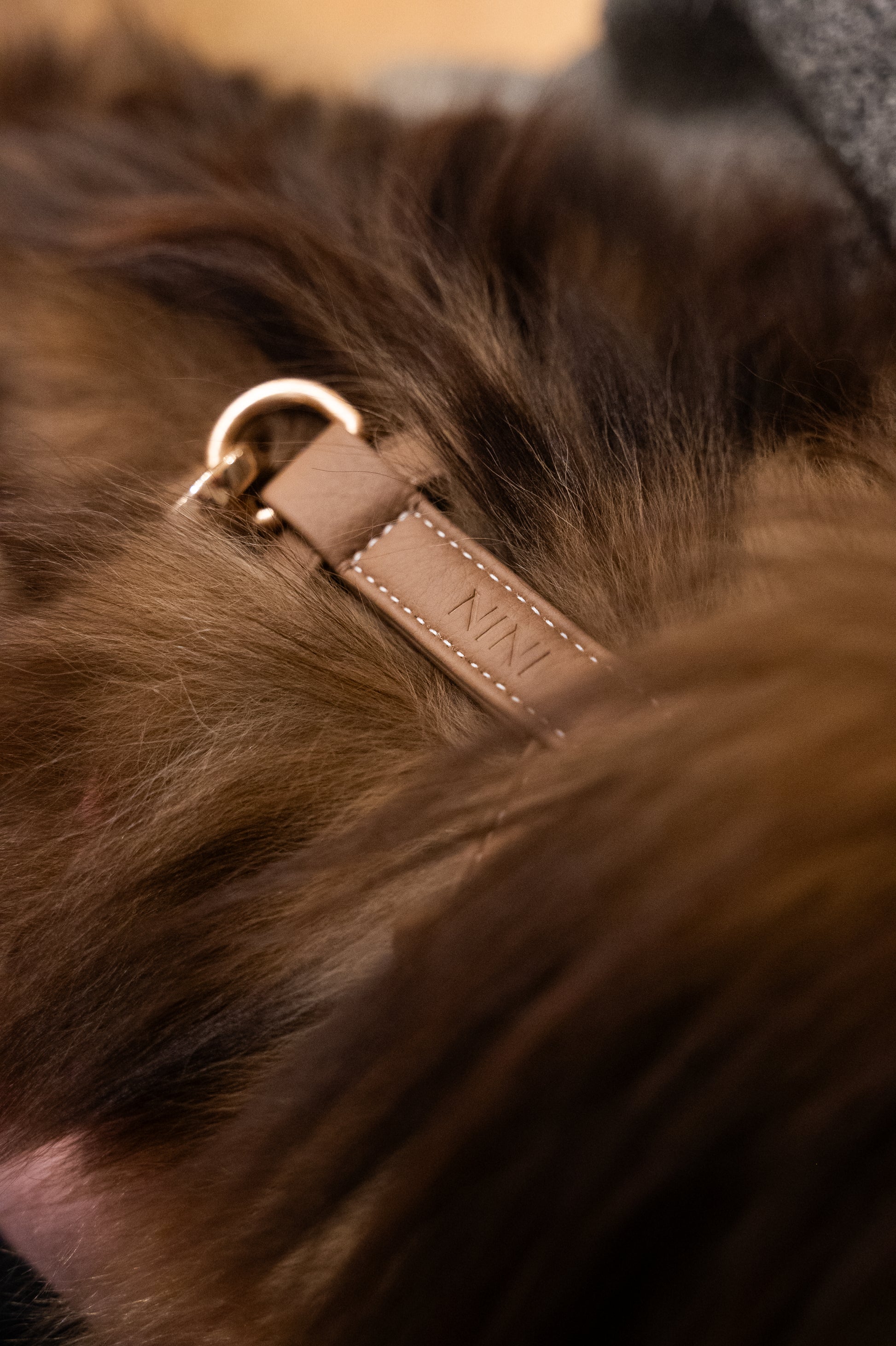 Beige Harness