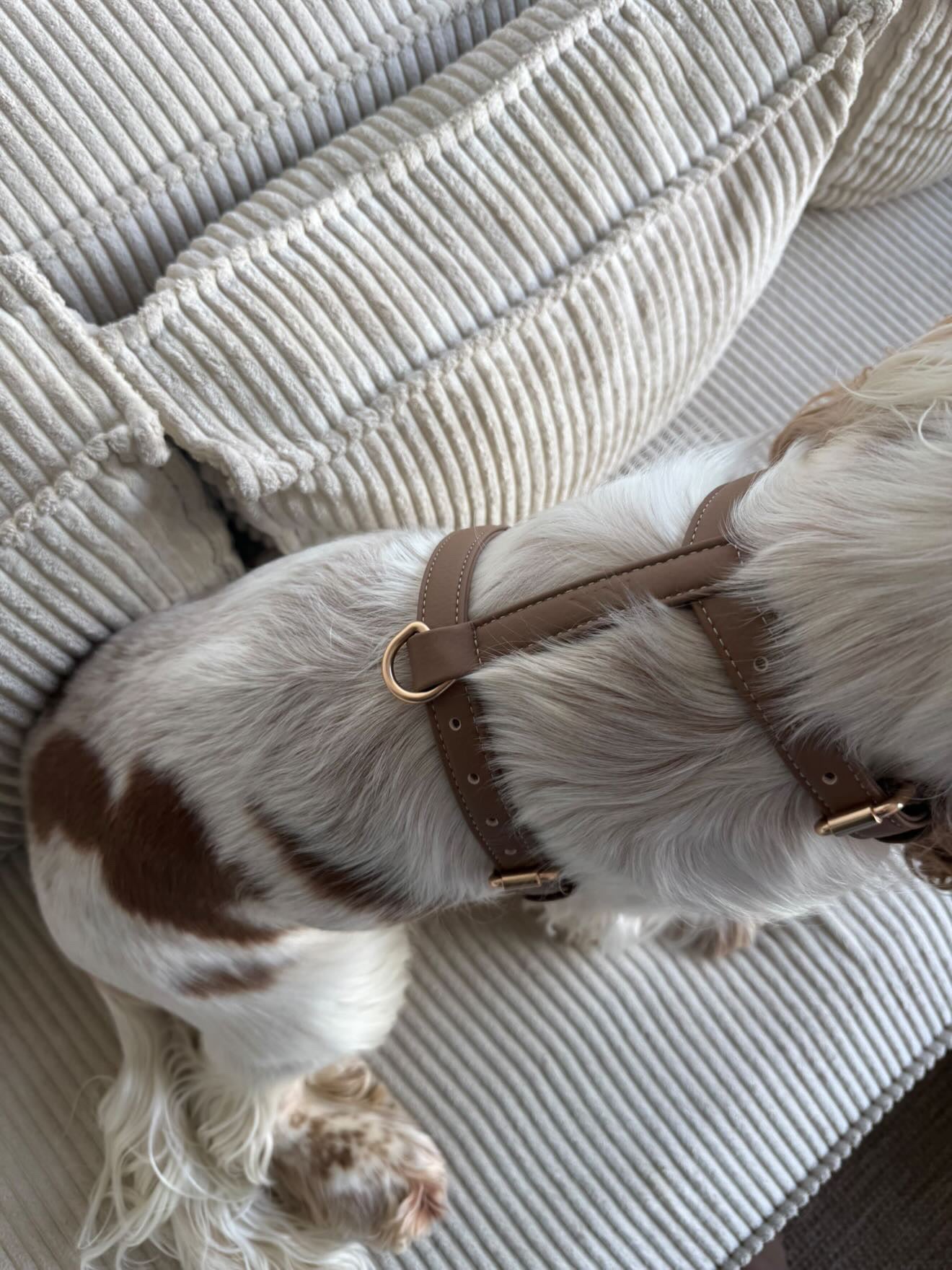 Beige Harness