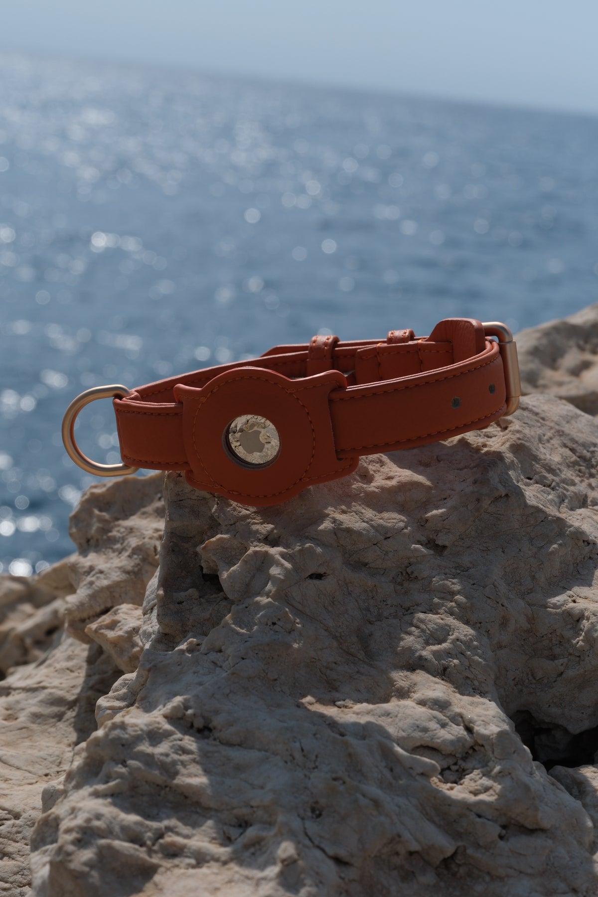 Porte-AirTag pour chien - Orange