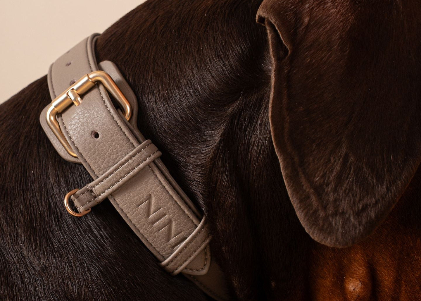 Collar gris