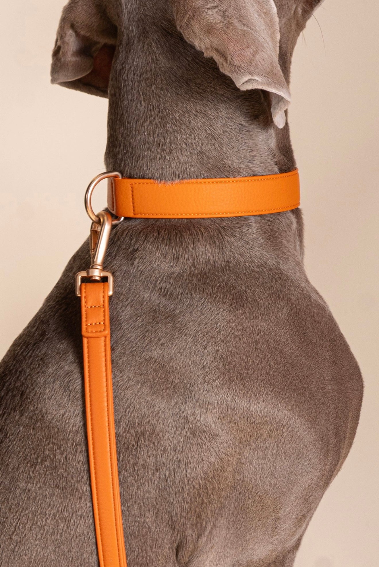 Collar naranja