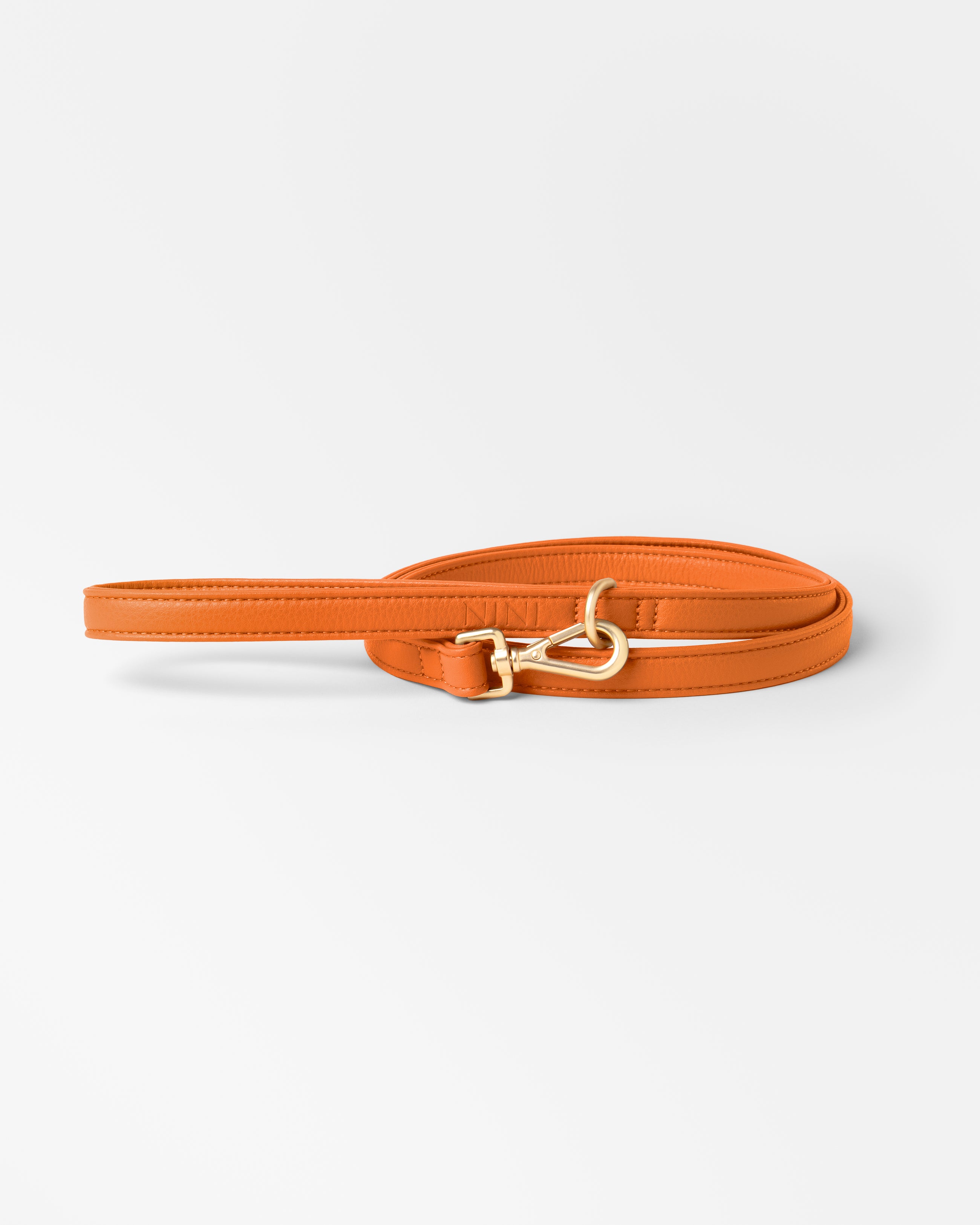 Laisse Classique Orange