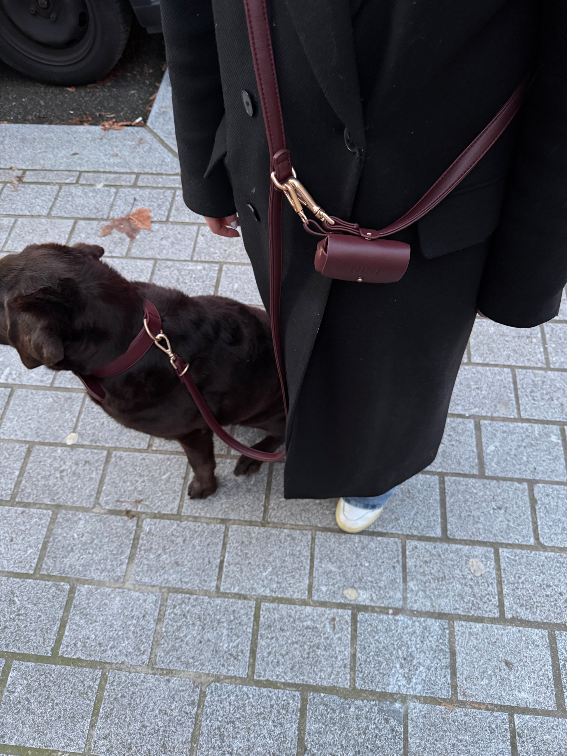 Poop bag Burgundy