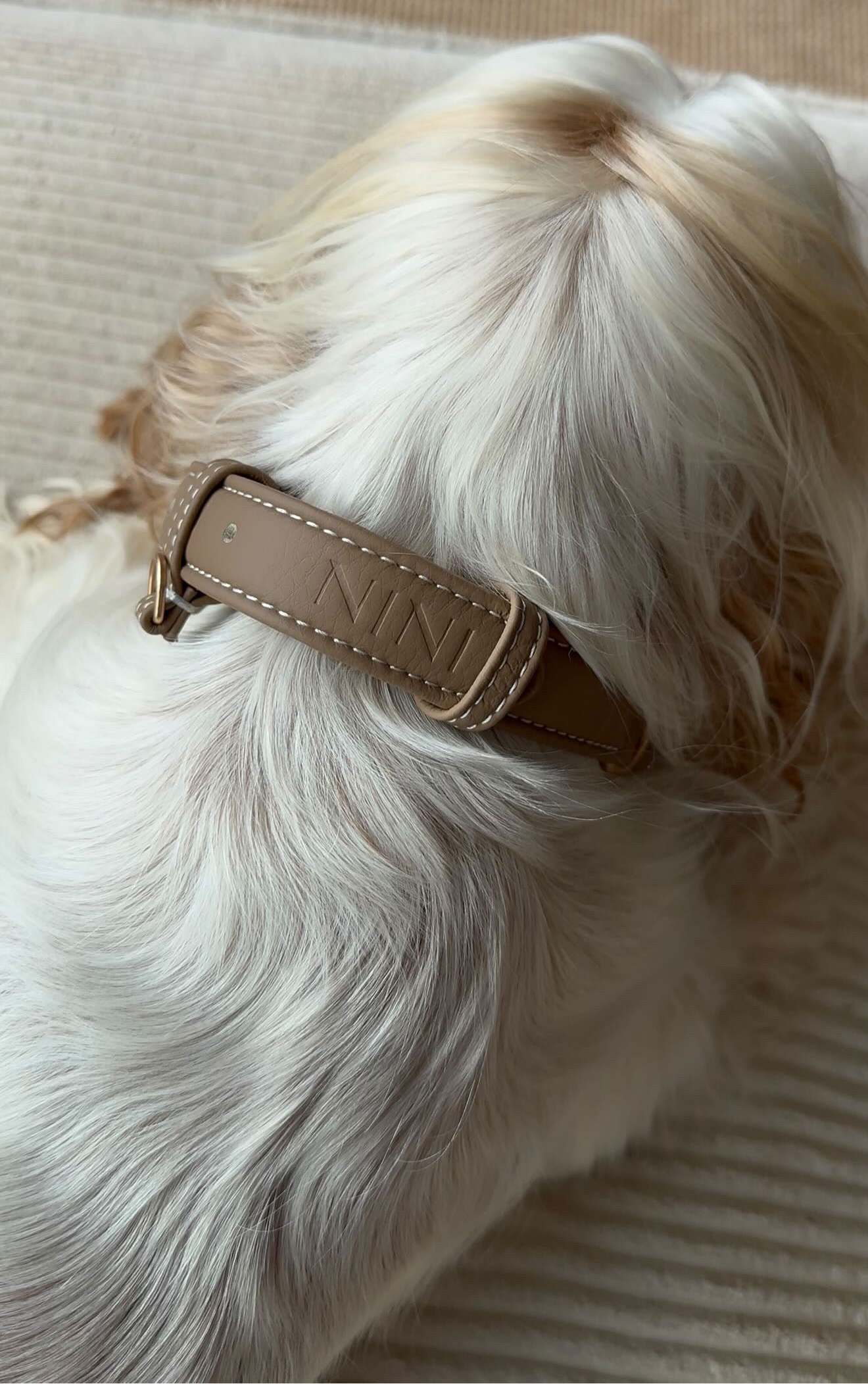 Beige Necklace