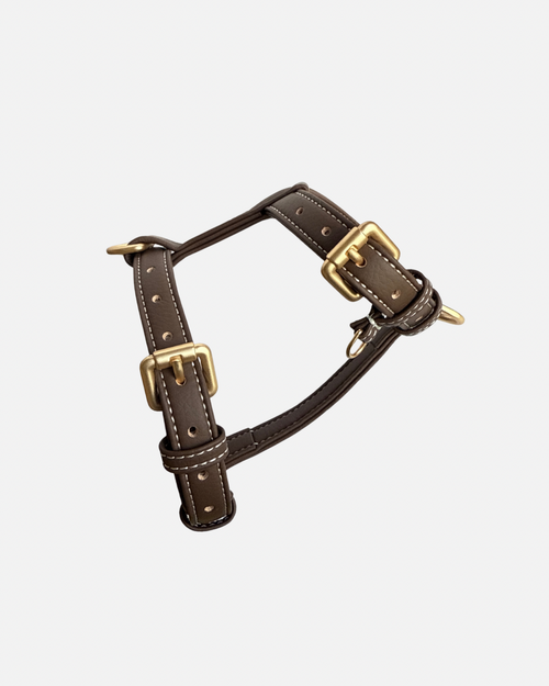 Harnais Chocolat