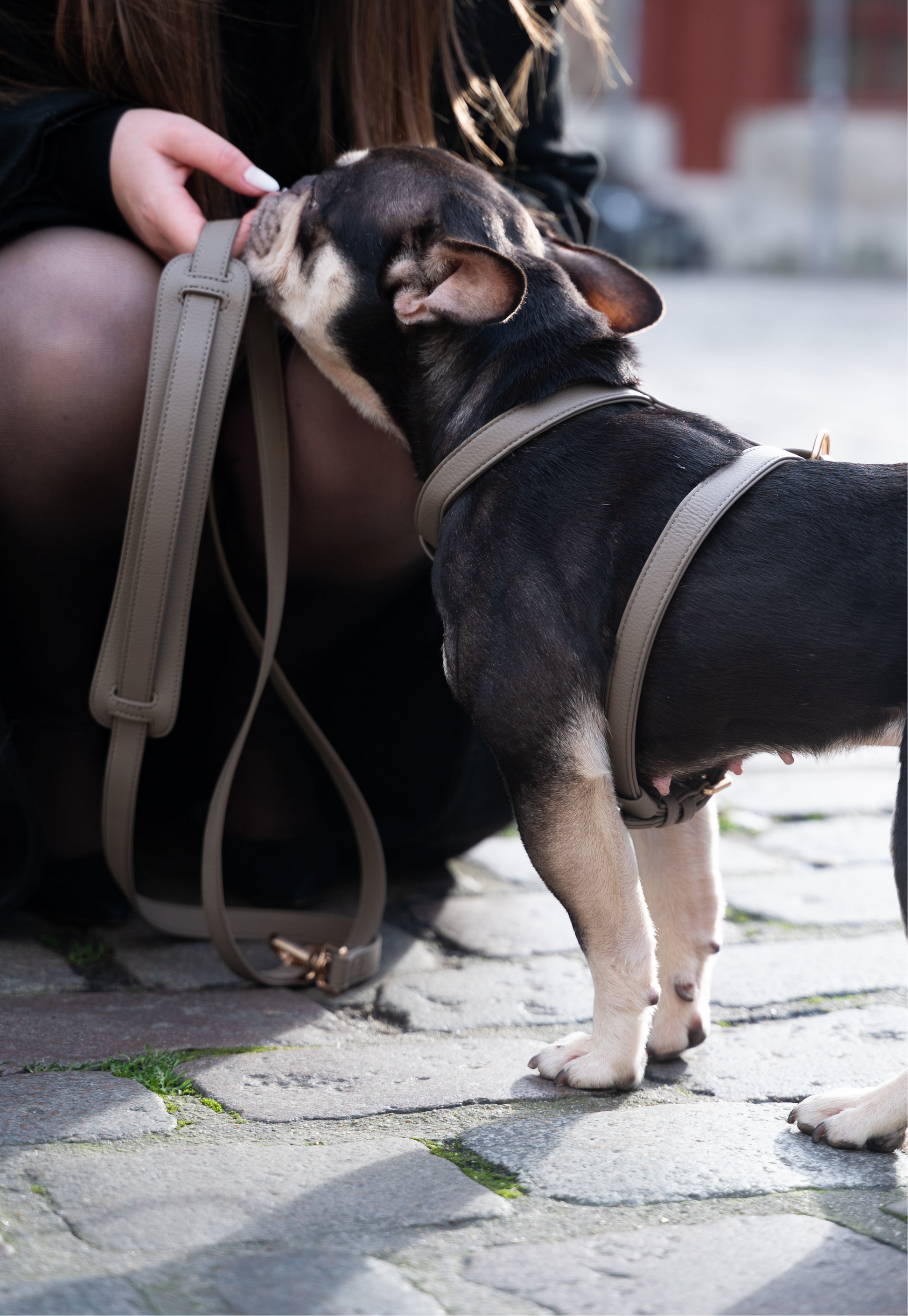 Grey Hands-Free Leash