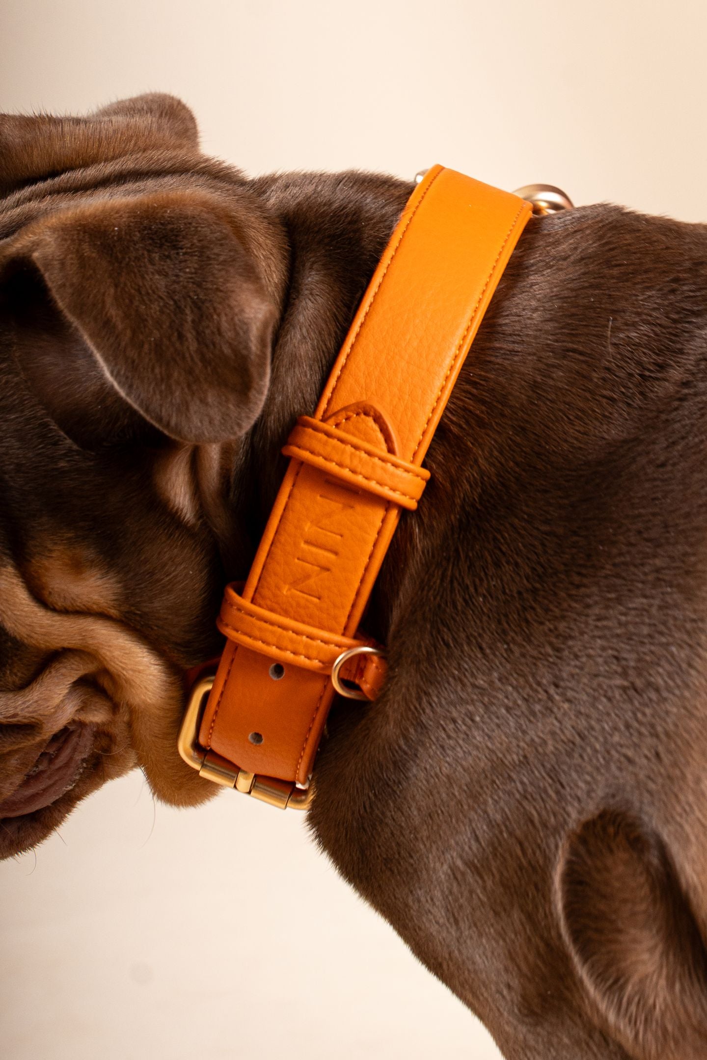 Collar naranja