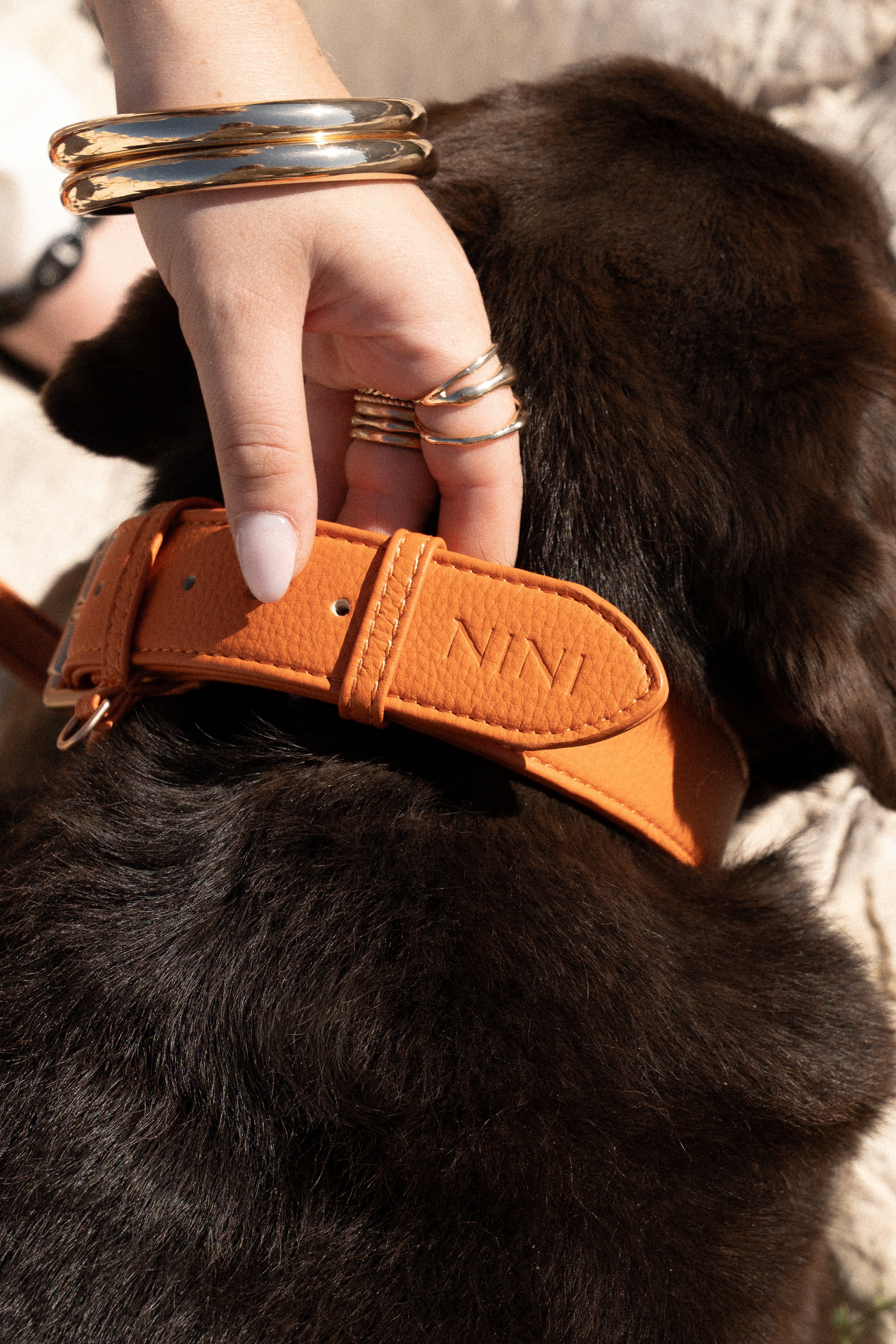Collar naranja