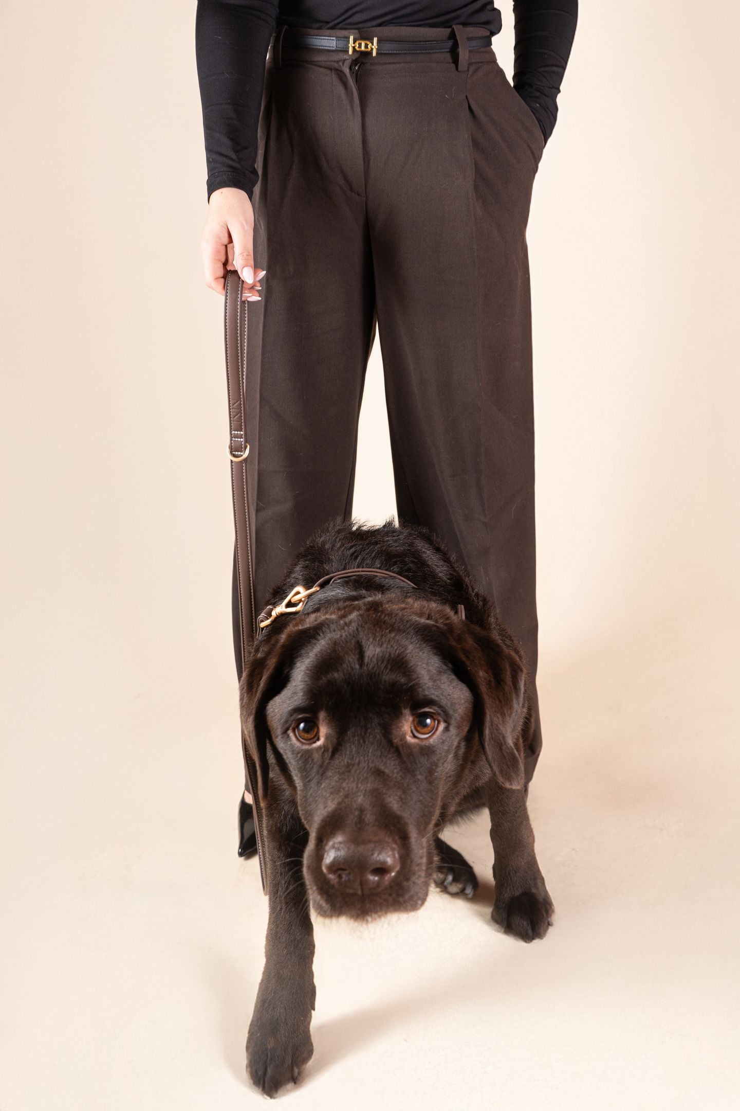 Laisse Classique Chocolat