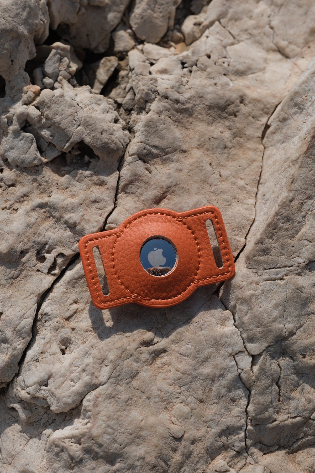 Porte-AirTag pour chien - Orange