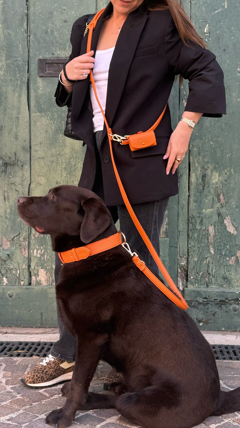 Orange Hands-Free Leash