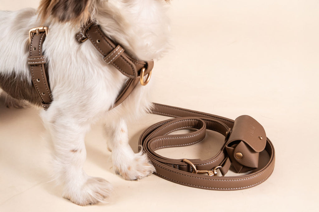 Laisse Classique Beige