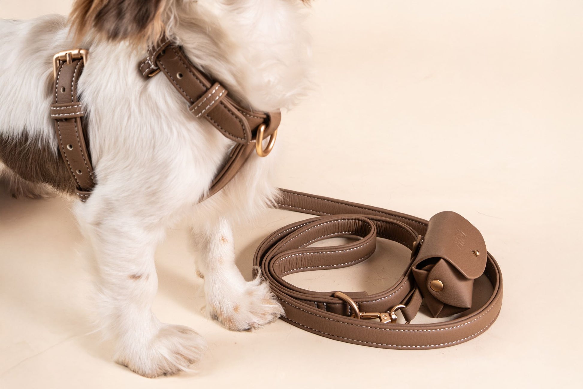 Laisse Classique Beige