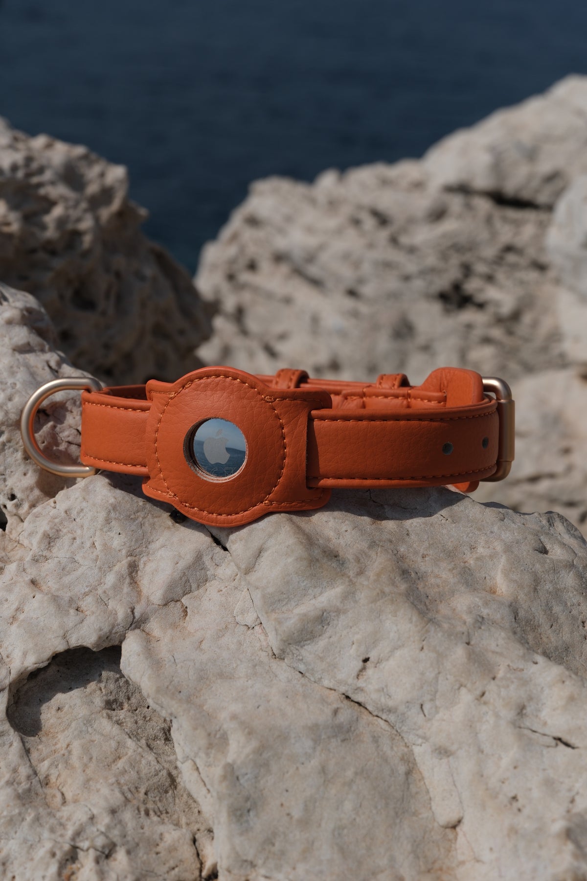Porte-AirTag pour chien - Orange