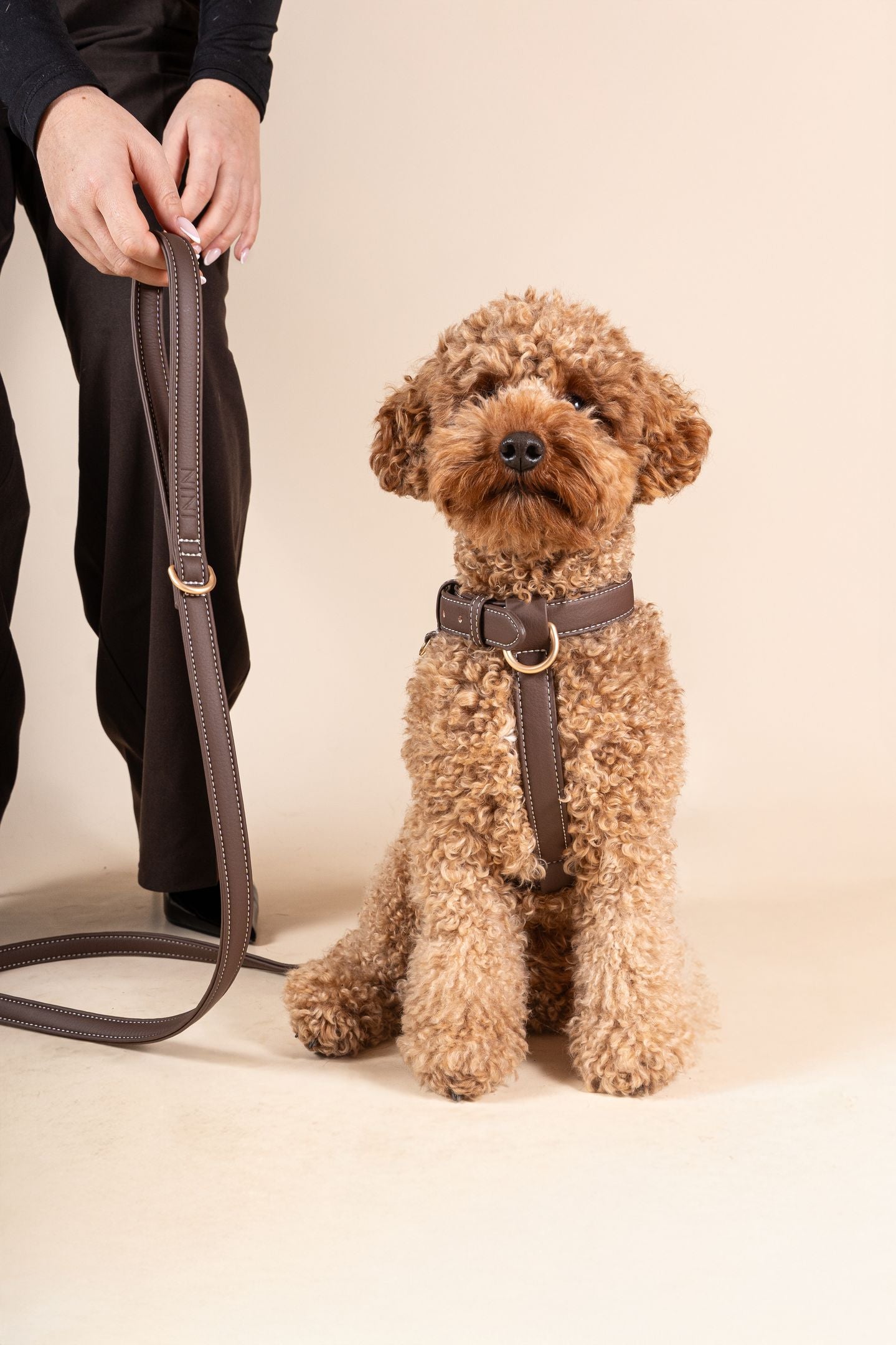 Laisse Classique Chocolat