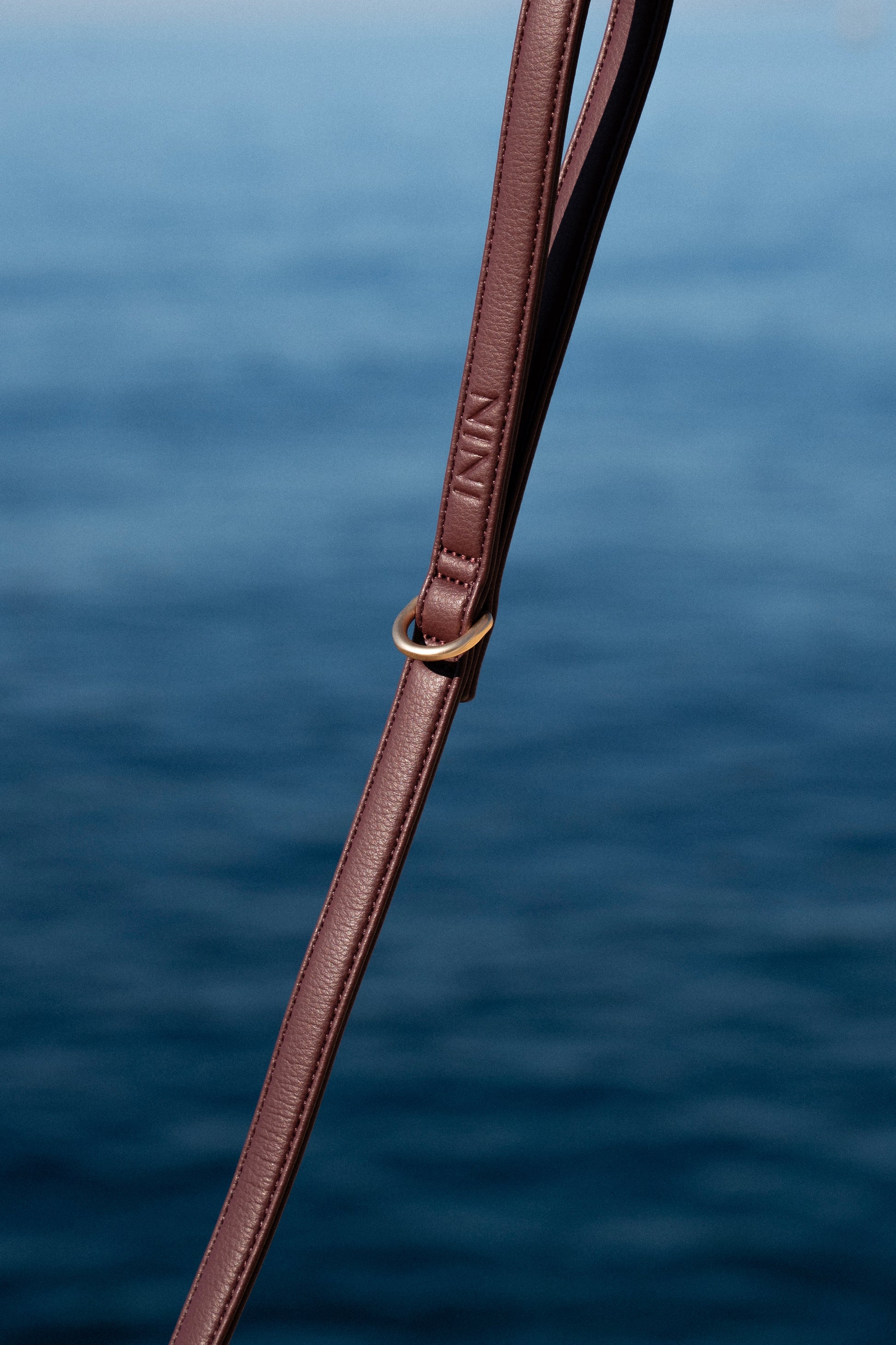 Laisse Classique Burgundy