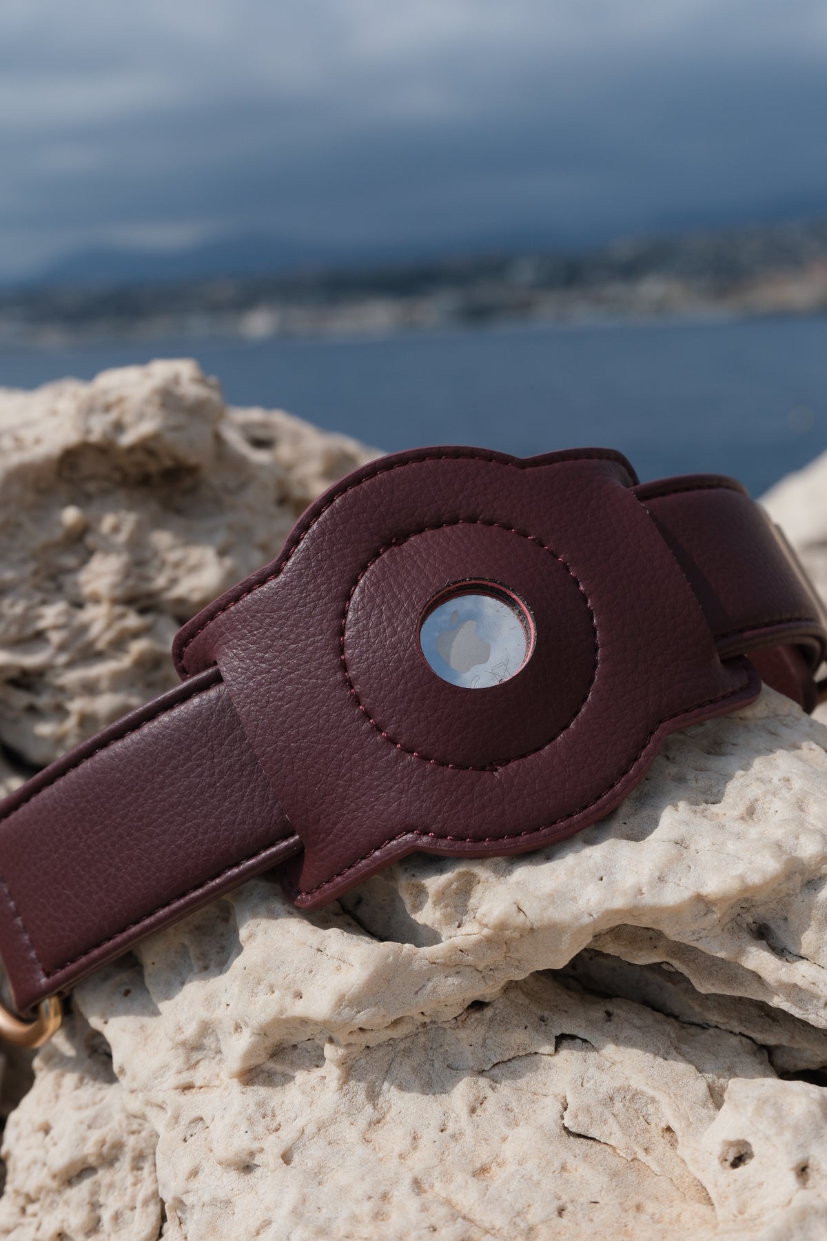 Porte-AirTag pour chien - Bordeaux