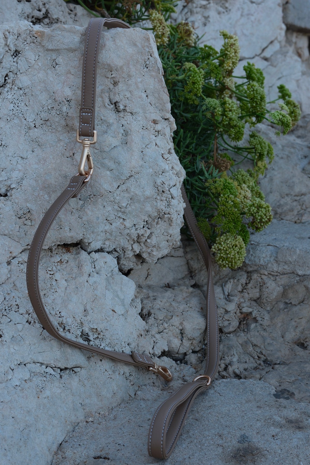 Rallonge de laisse - Beige