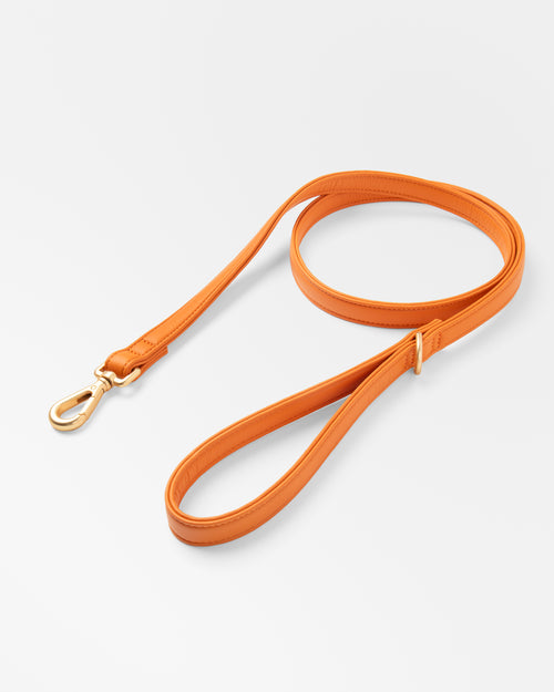 Laisse Classique Orange