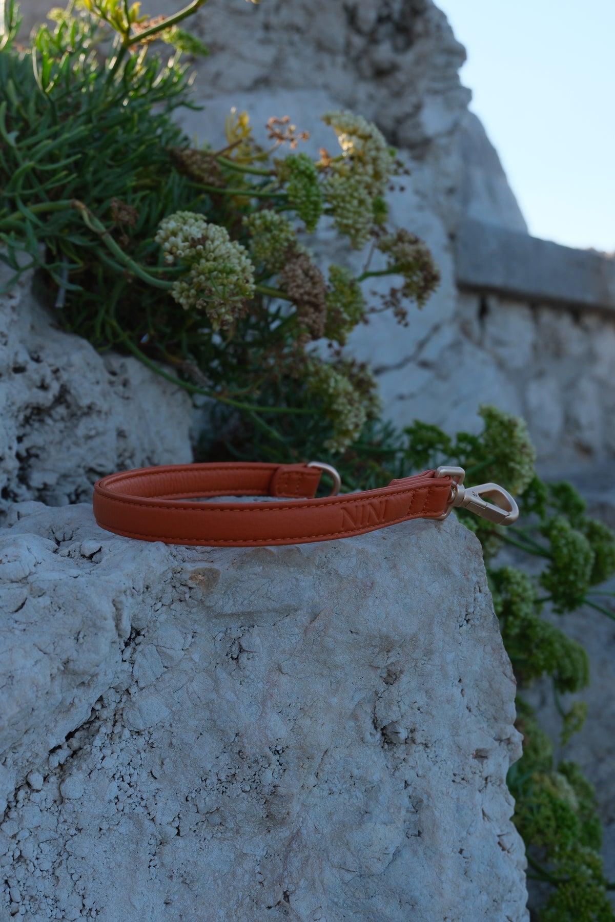 Rallonge de laisse - Orange
