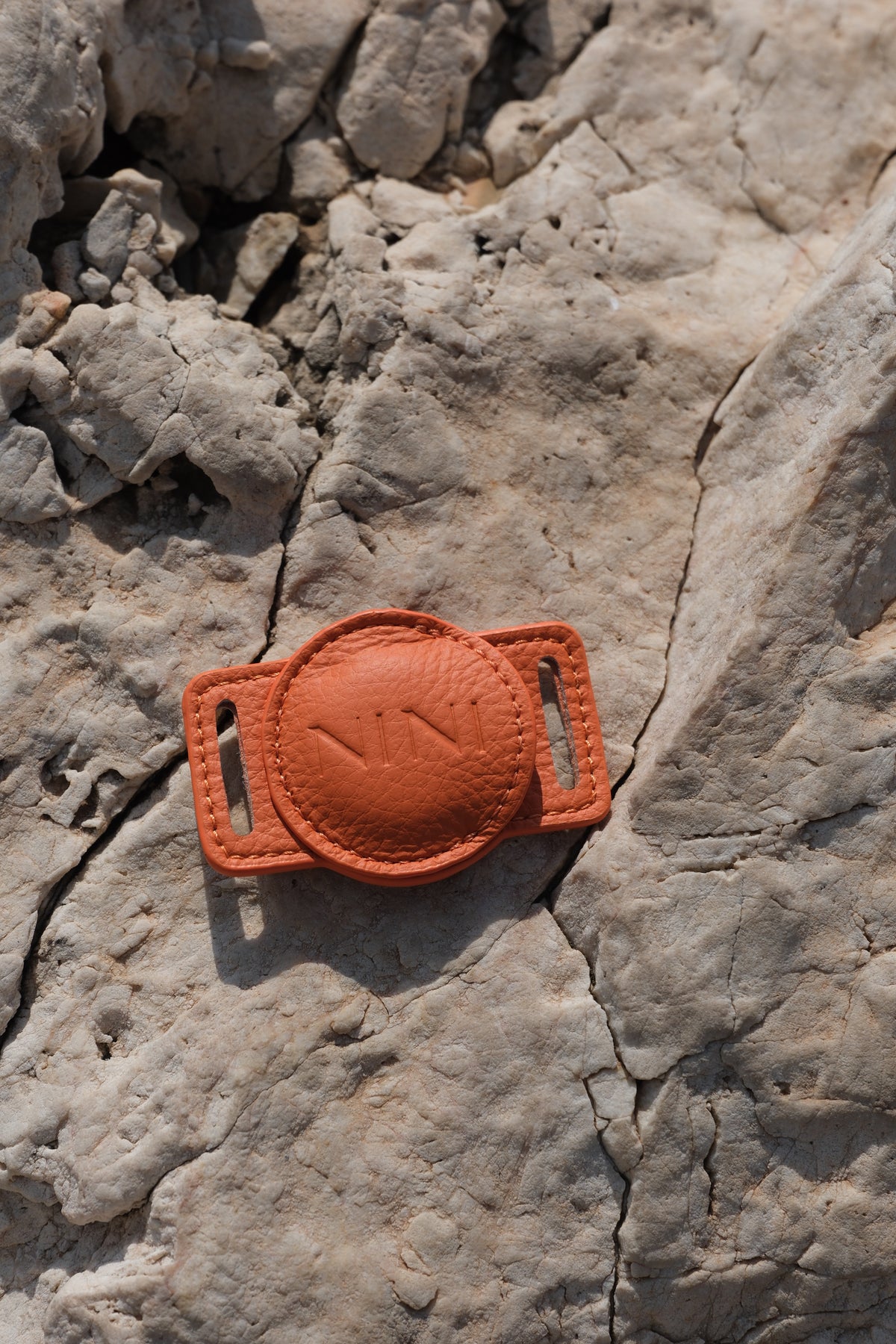 Porte-AirTag pour chien - Orange