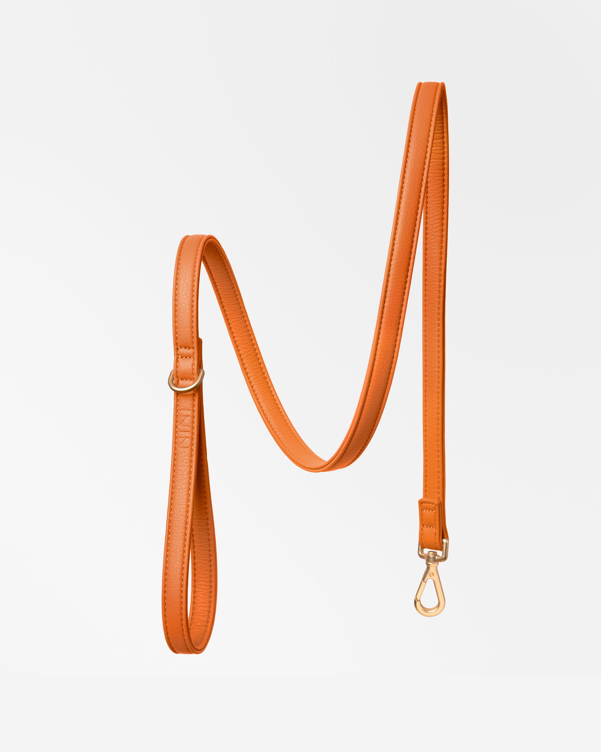 Laisse Classique Orange