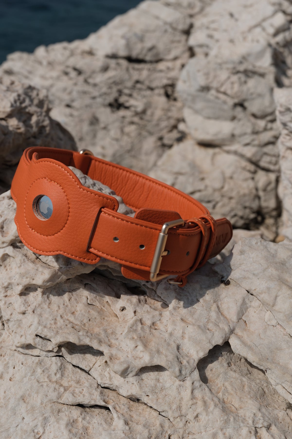 Porte-AirTag pour chien - Orange