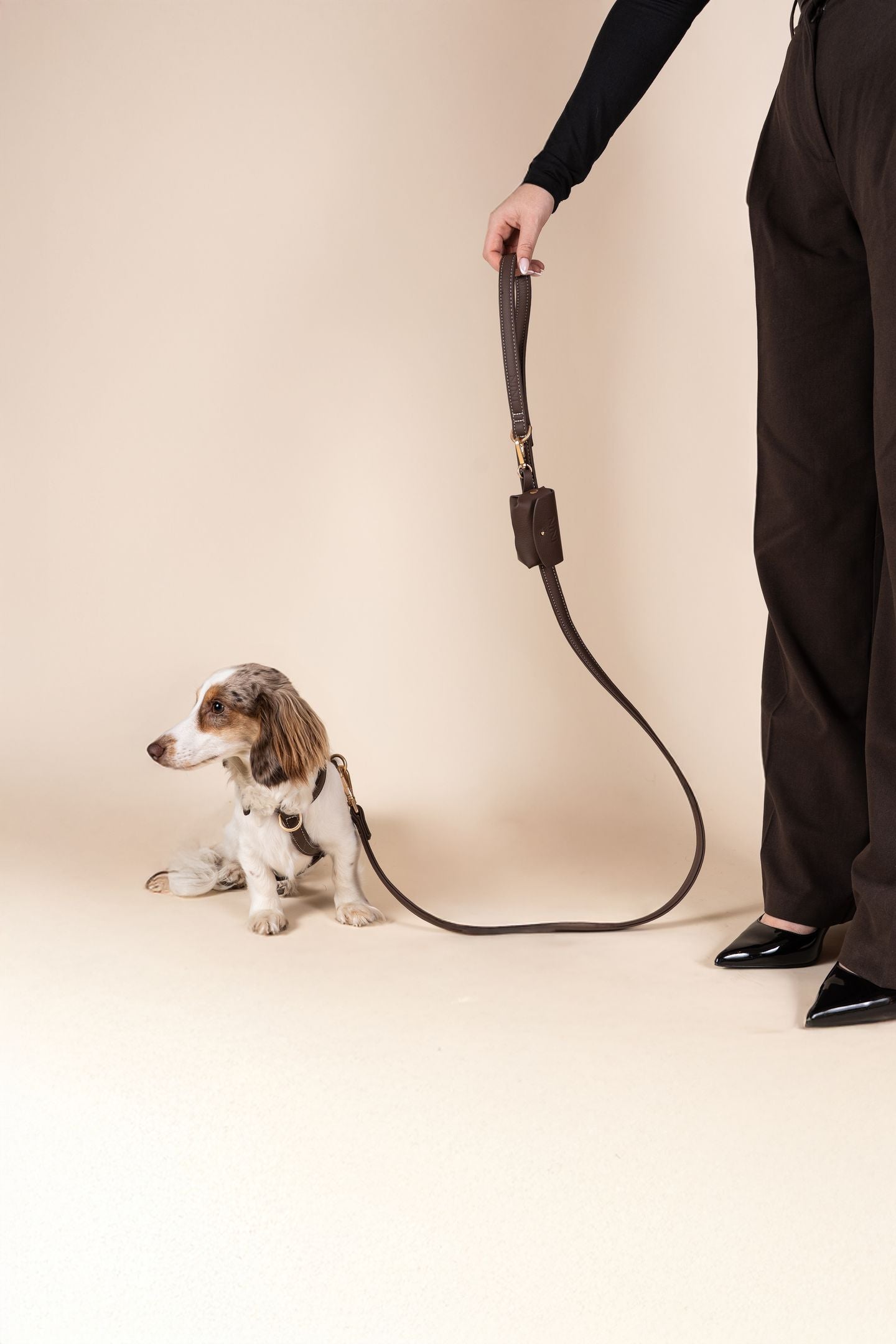 Laisse Classique Chocolat