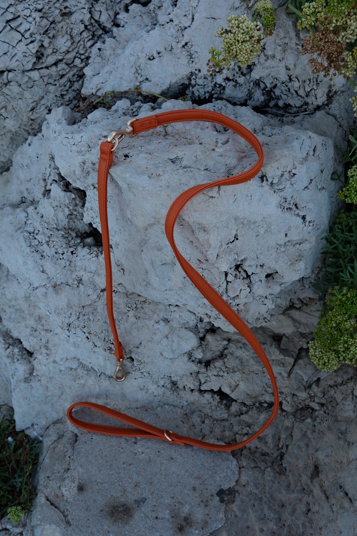 Rallonge de laisse - Orange