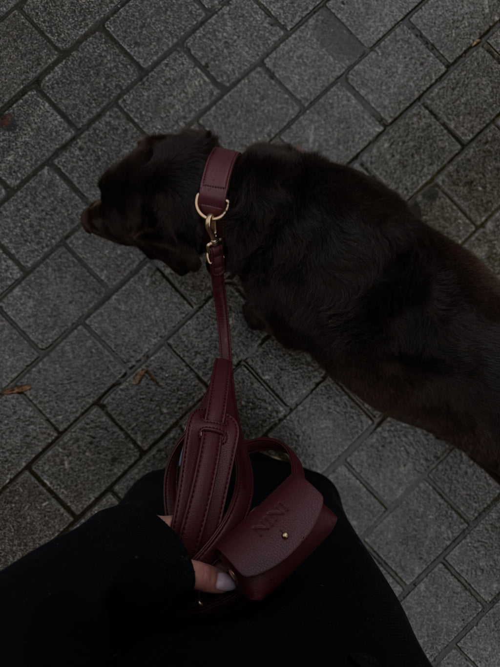 Laisse Mains-libres Burgundy