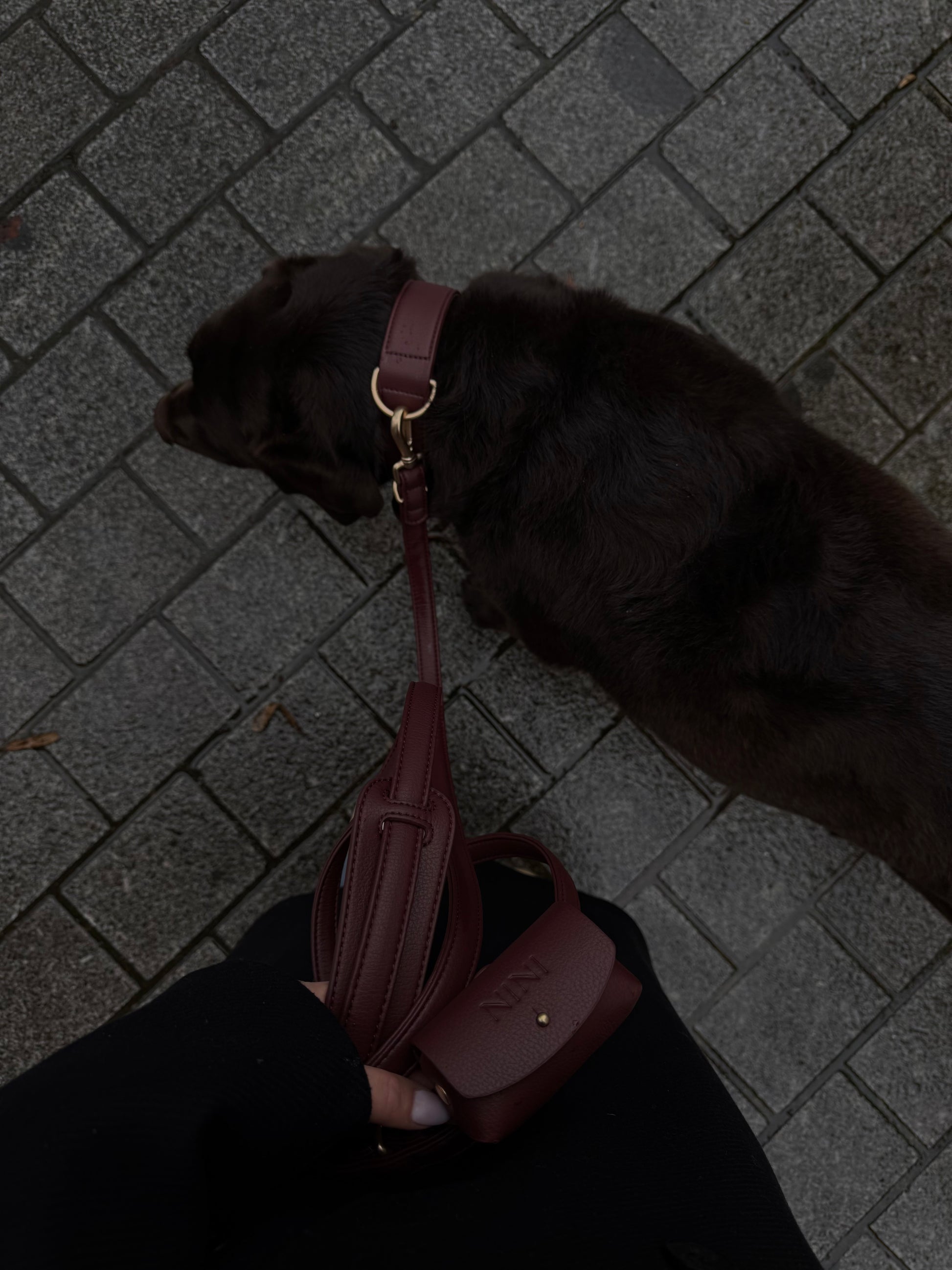 Poop bag Burgundy