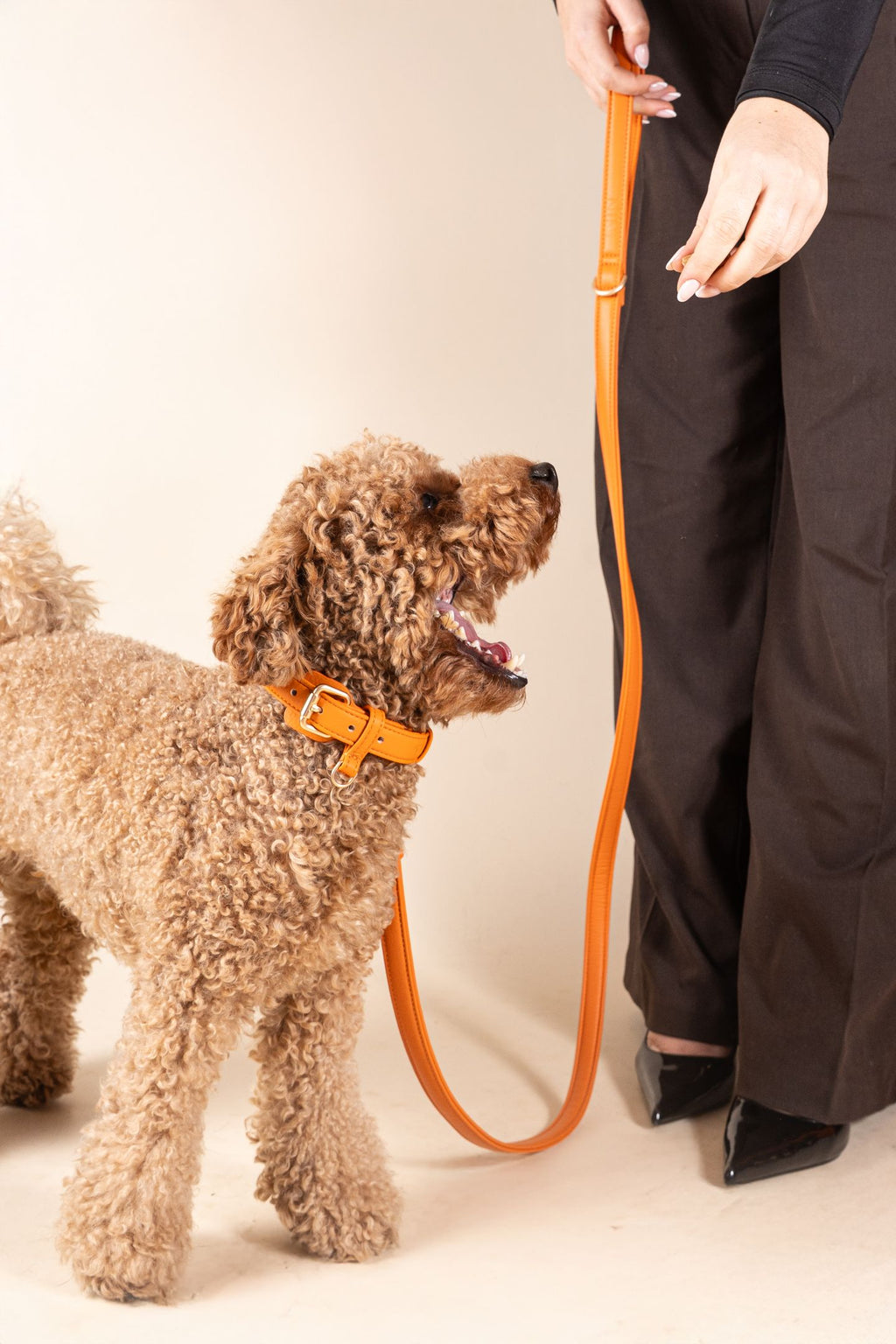 Laisse Classique Orange