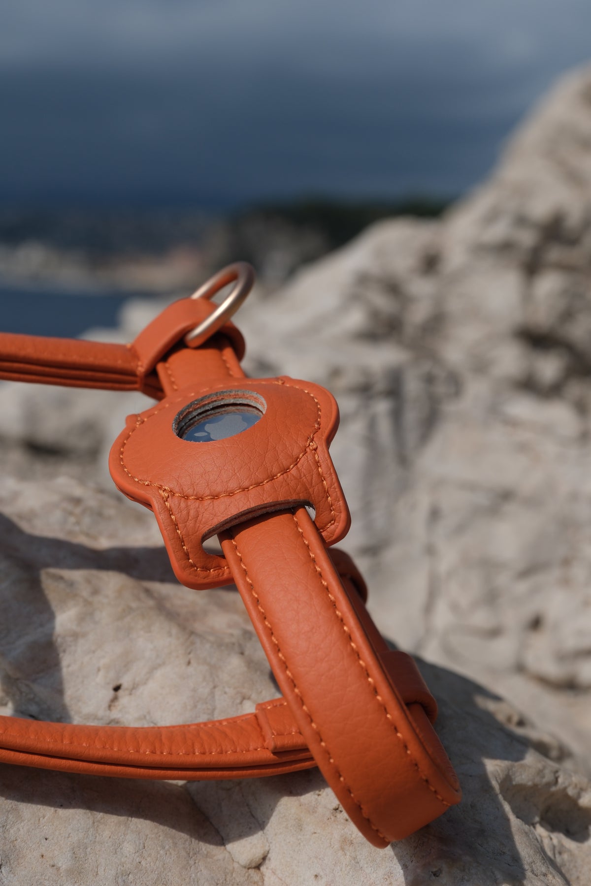 Porte-AirTag pour chien - Orange
