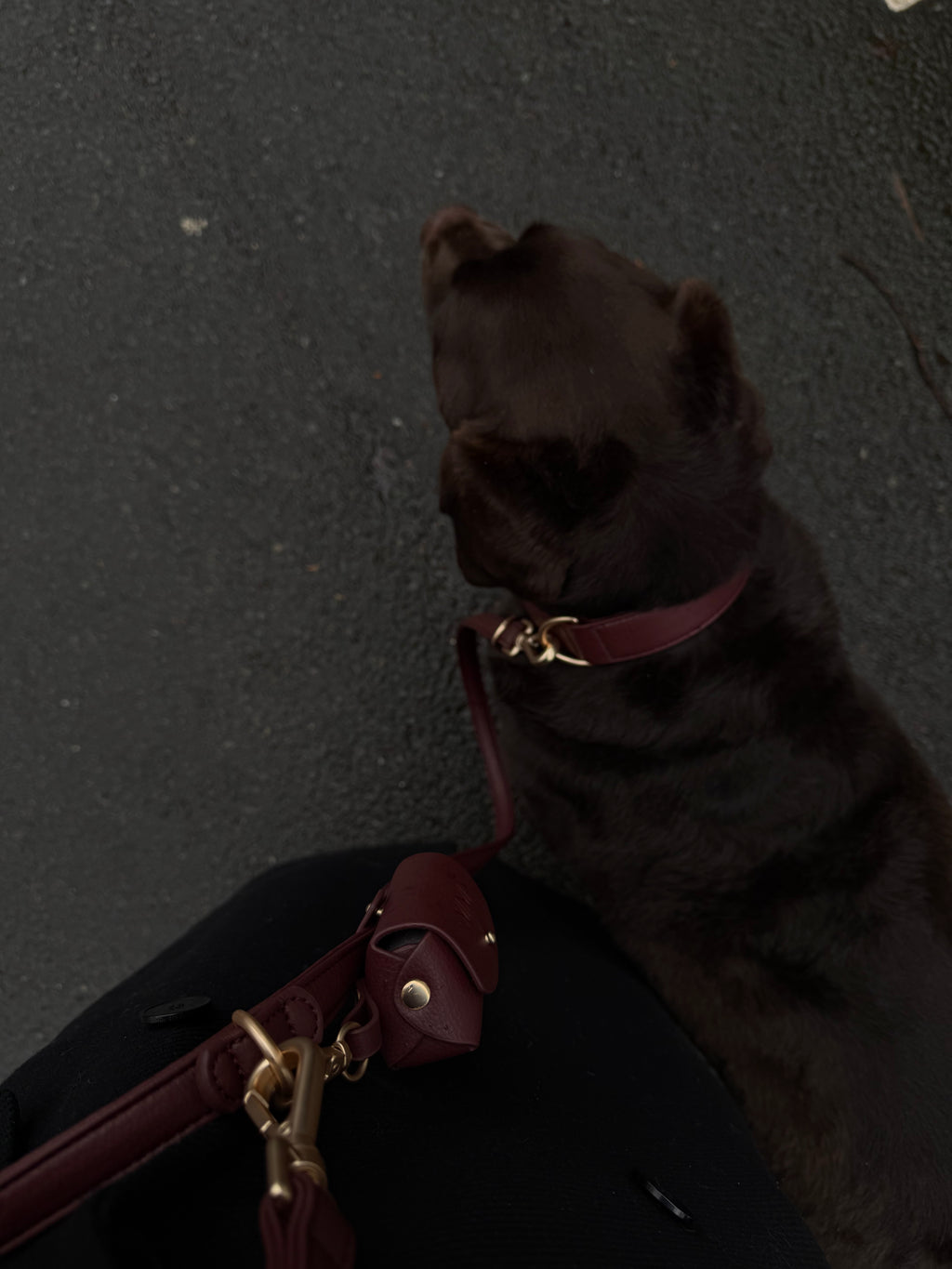 Poop bag Burgundy