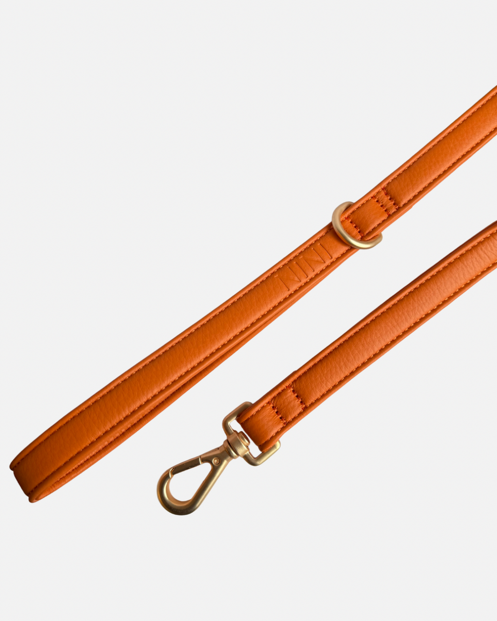 Laisse Classique Orange