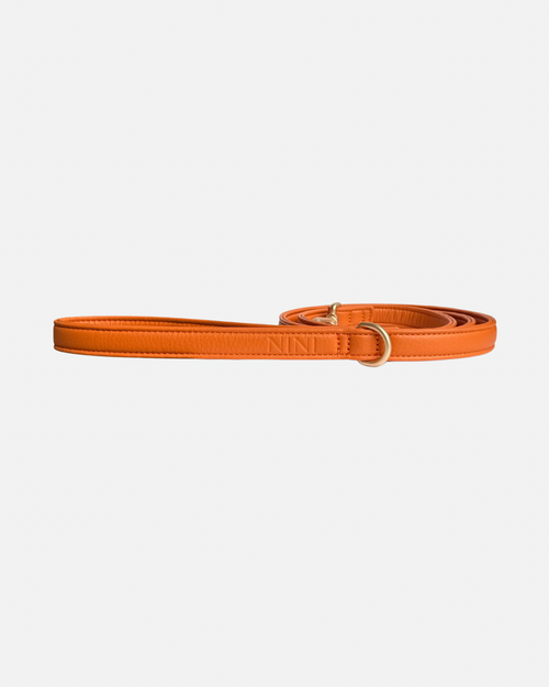 Laisse Classique Orange