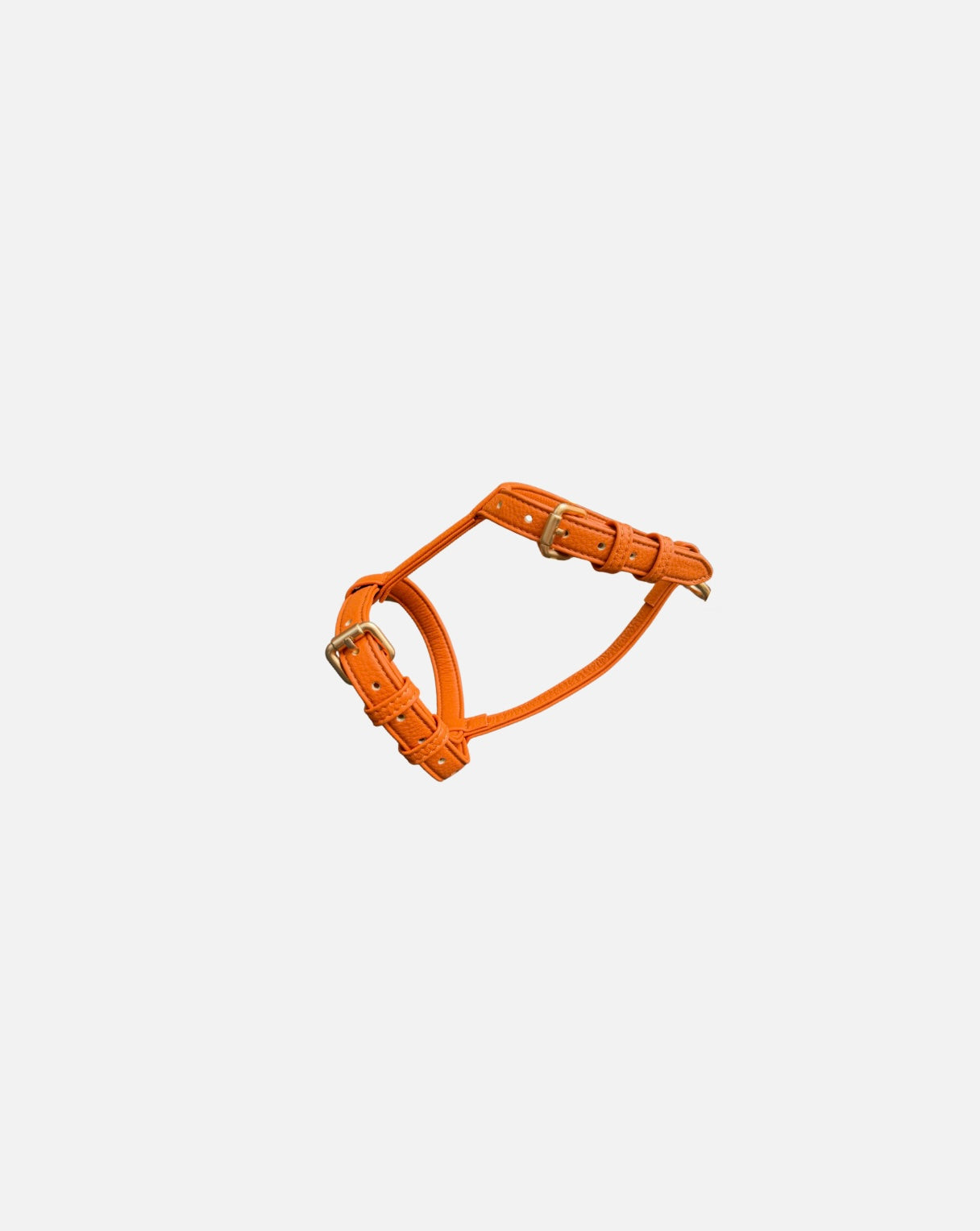 Harnais Orange