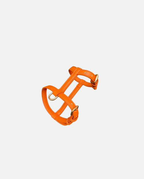 Harnais Orange