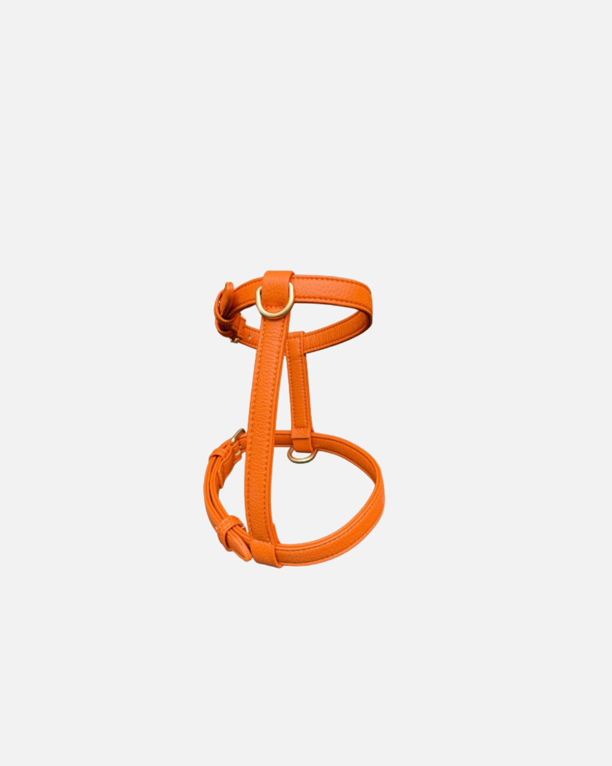 Harnais Orange