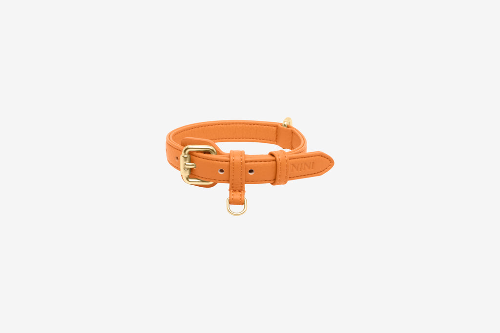 Orange Necklace